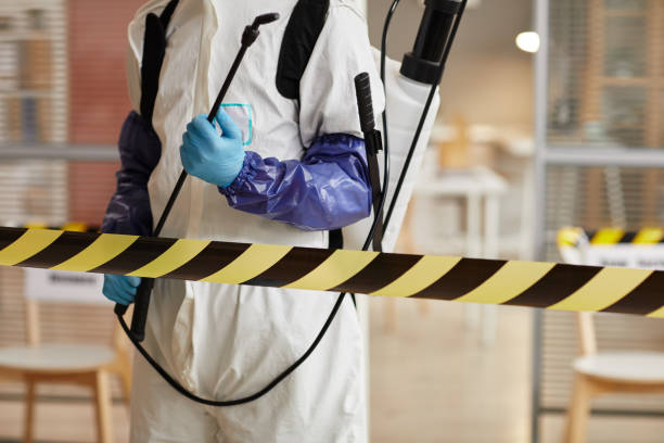 Professional Sewage Cleanup technician working in Carrollton, TX